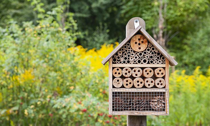 Costruiamo insieme un bug hotel